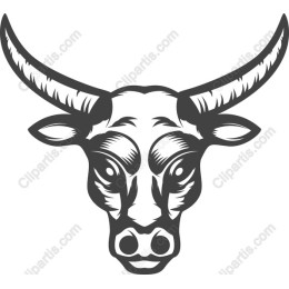Bull Head