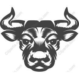 Vintage Bull Head