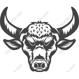 Strong Bull Head