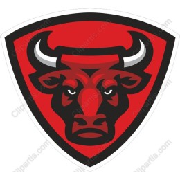 Fierce Bull