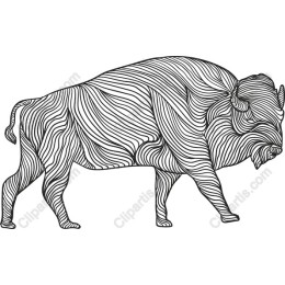 Elegant Bison Line Art