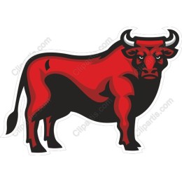 Fierce Bull
