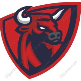 Fierce Bull Shield