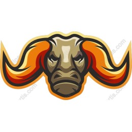 Fierce Buffalo Head
