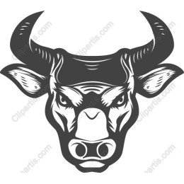 Bold Bull Head