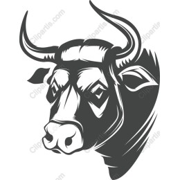Bold Bull Head