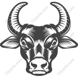 Monochrome Bull Head