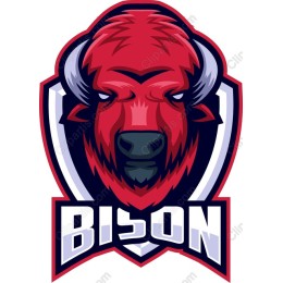 Bison - Fierce and Bold