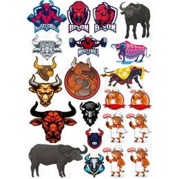 Bison and Bull Collection - Dynamic