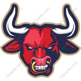 Fierce Bull Head