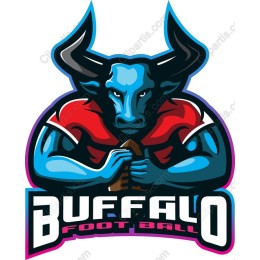 Fierce Buffalo Football