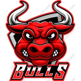 Fierce Bull Logo