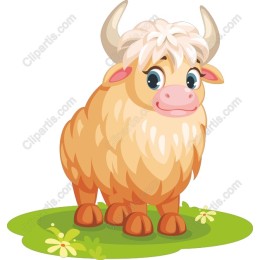 Charming Highland Cow