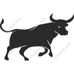 Dynamic Bull