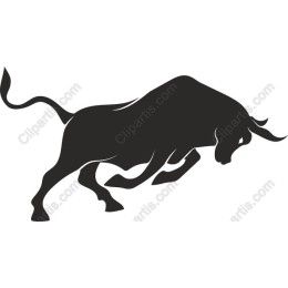 Dynamic Bull