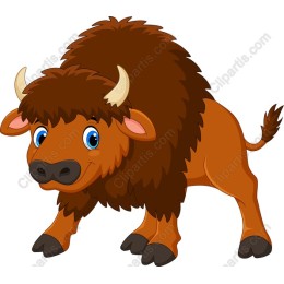 Charming Playful Bison