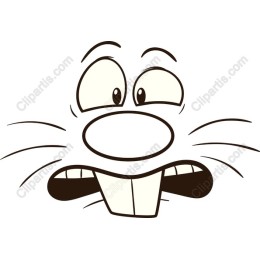 Cartoon Bunny Face