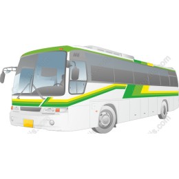 Green and Yellow Bus