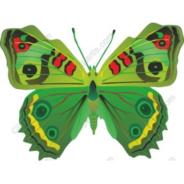Vibrant Green Butterfly