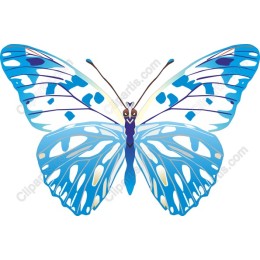 Enchanting Blue Butterfly