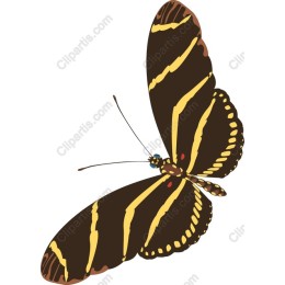 Butterfly Elegance