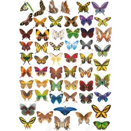 Butterfly Collection - 60 Premium Cliparts