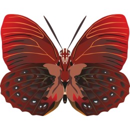 Vibrant Red Butterfly
