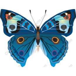 Majestic Blue Butterfly