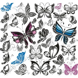 Elegant Butterfly Set