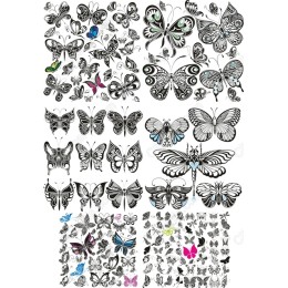 Butterfly Bundle - Elegant
