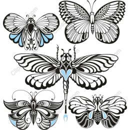 Elegant Butterfly Collection