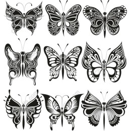Black and White Butterfly Collection