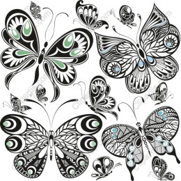 Intricate Butterfly Set