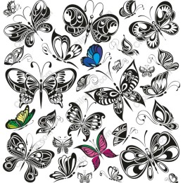 Butterfly Collection - Elegant
