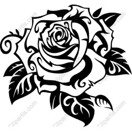 Elegant Black and White Rose