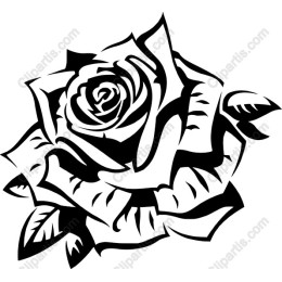 Elegant Black Rose