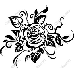 Elegant Black and White Rose