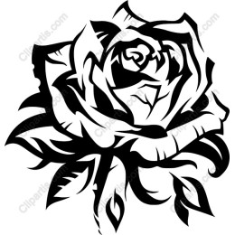 Black Rose