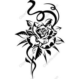 Black Rose