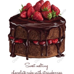 Sweet Melting Chocolate Cake with Strawberries