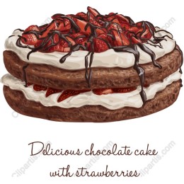 Delicious Chocolate Cake with Strawberries
