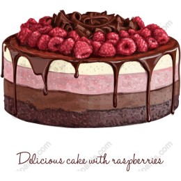 Delicious Cake with Raspberries