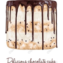 Delicious Chocolate Cake
