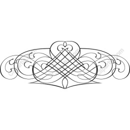 Elegant Lace Scroll