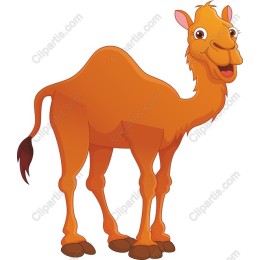 Cheerful Cartoon Camel