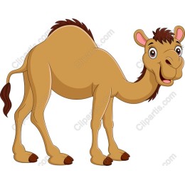 Cartoon Camel