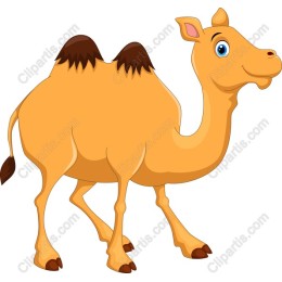 Charming Cartoon Camel