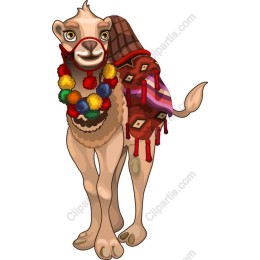 Vibrant Camel