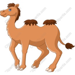 Charming Cartoon Camel