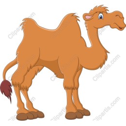 Playful Cartoon Camel